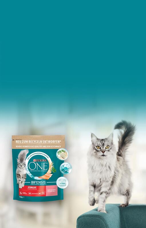 Entdecke PURINA ONE