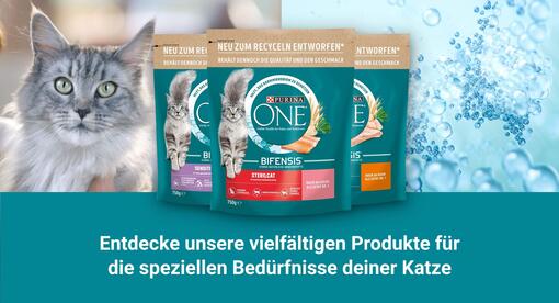 Produkte für die speziellen Bedürfnisse deiner Katze