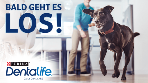 Dentalife Cashback