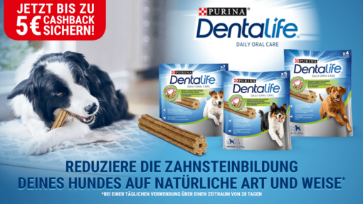 Dentalife Cashback