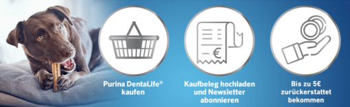 Dentalife Cashback