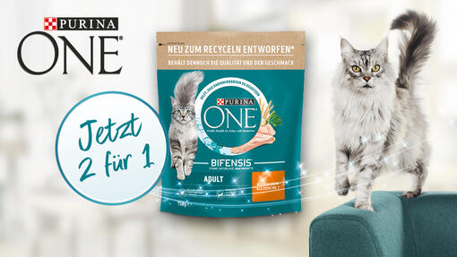 Purina One GOAT Campaign