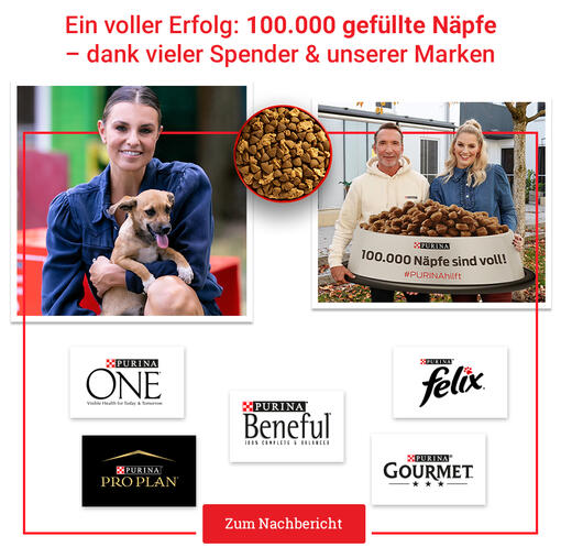 Nachbericht #PURINAhilft Aktion Mobile