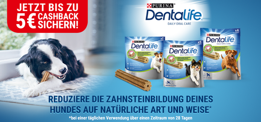DentaLife Cashback