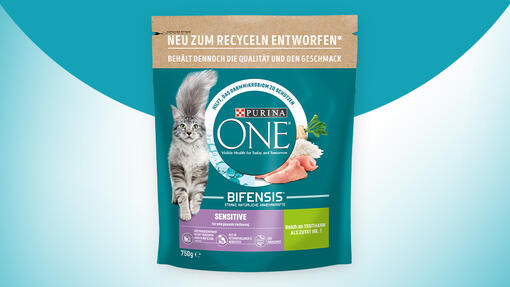 PURINA ONE Sensitive mit Reis und Truthahn für Katzen mit Glutenallergie