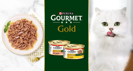 GOURMET Gold Saftig-feine Streifen Split Mobile