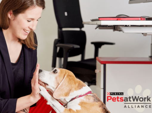Ein Hund und eine Frau