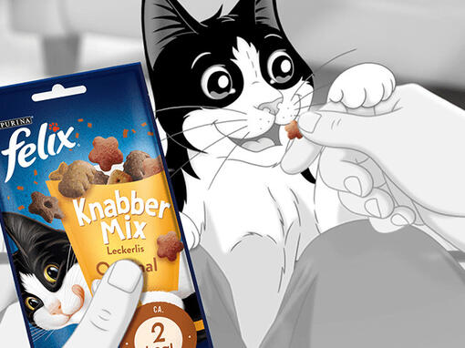 Felix bekommt KnabberMix gefüttert