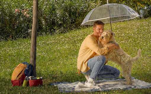 Herrchen mit Hund auf Wiese bei Regen unter Regenschirm