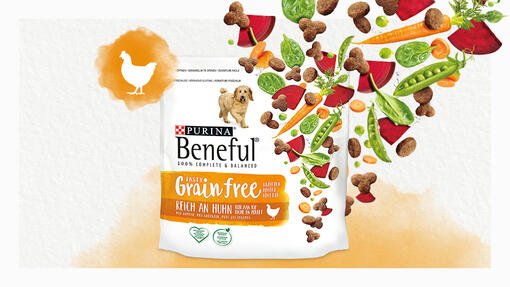 BENEFUL Grainfree Produktvisualisierung