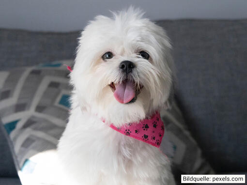 BENEFUL Review Photo 01