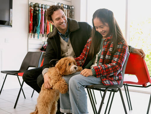 Ein Mann und eine Frau sitzen auf einem Stuhl und spielen mit einem Hund