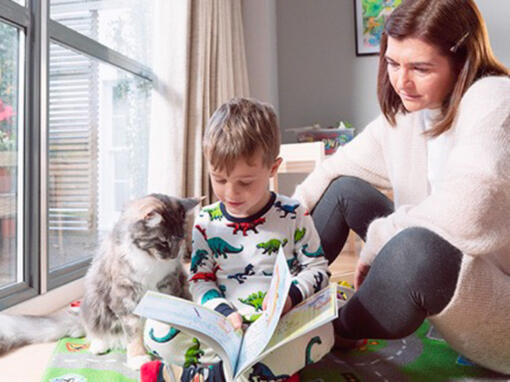 Mutter und Sohn spielen mit einer Katze