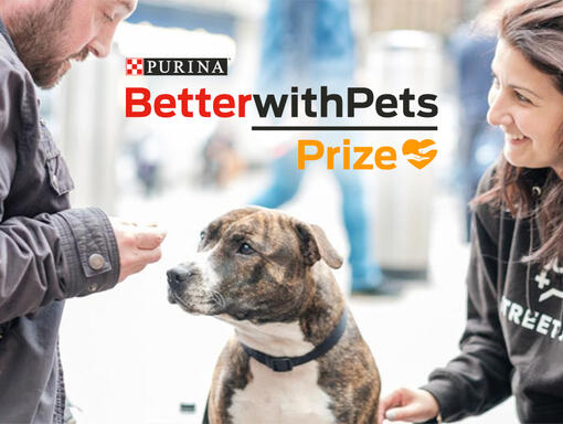 Gewinner des Better with Pets Prize von PURINA