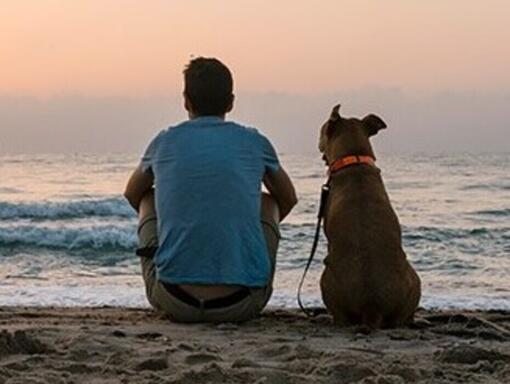 Mann und sein Hund sitzen an einem Strand