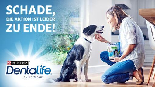 Die Purina® DentaLife® Cashback Aktion ist leider vorbei.