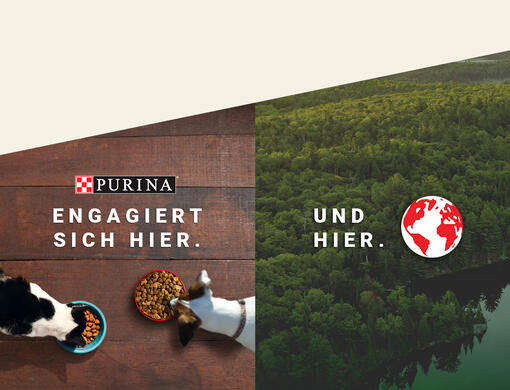 PURINA engagiert sich hier. Und hier.
