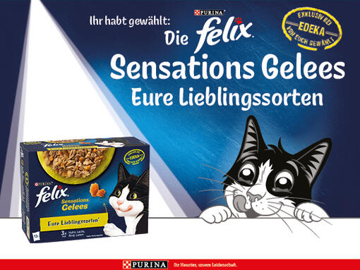 FELIX Sensations