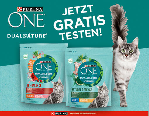 PURINA ONE DualNature Cashback