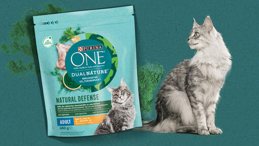 Walmart purina one sensitive systems top