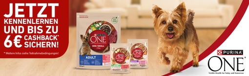 Purina ONE mini cashback