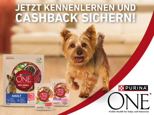 Jetzt PURINA ONE Mini kennenlernen – mit bis zu 6€ Cashback!