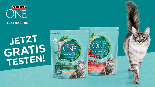 PURINA ONE DualNature Aktionsteaser Mobile