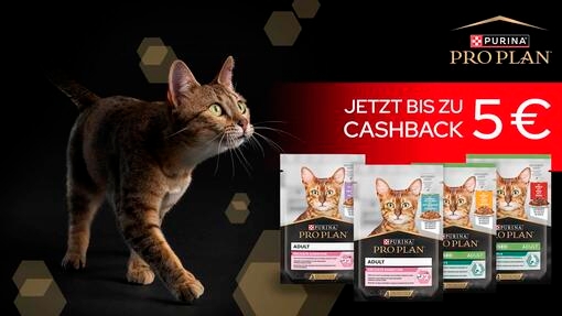 Jetzt PRO PLAN Nassnahrung probieren und bis zu 5€ zurück erhalten! 