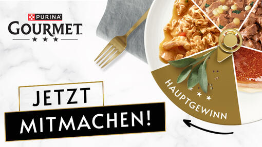 GOURMET Genuss Roulette Aktionsteaser Desktop