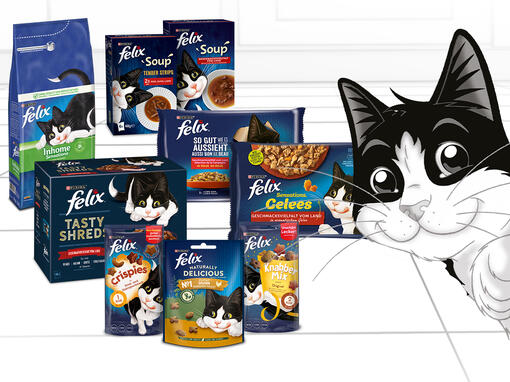 PURINA FELIX Brandpage Header Mobile