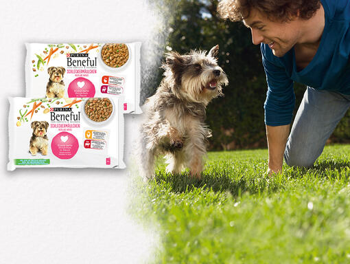 Herrchen mit Hund auf Wiese und BENEFUL Nassfutter