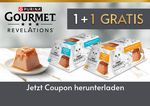 Gourmet revelation