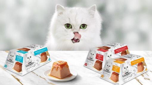 Perfekt geformt für eine exquisite Serviererfahrung