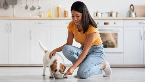 Frau und Hund in der Küche