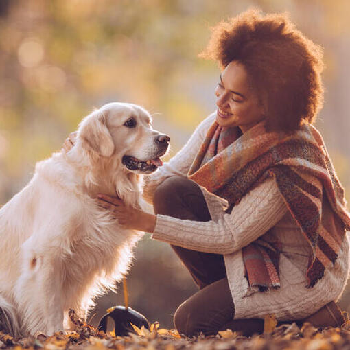 Frauen mit Golden Retriever im Park