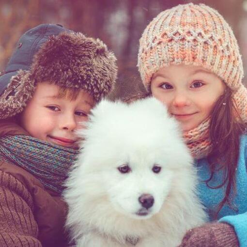 Japanischer Spitz mit zwei Kindern