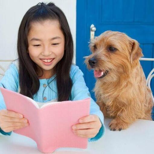 Norfolk Terrier sitzt neben Mädchen