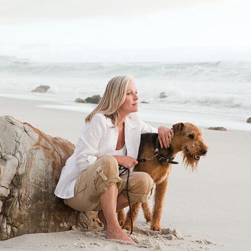 Airedale Terrier am Strand mit Person.