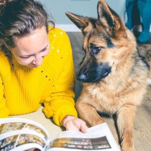 Deutscher Schäferhundwelpe mit dem Besitzer