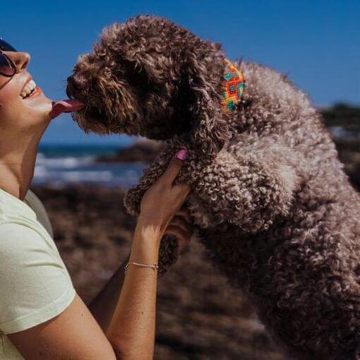 Hund küsst seinen Besitzer