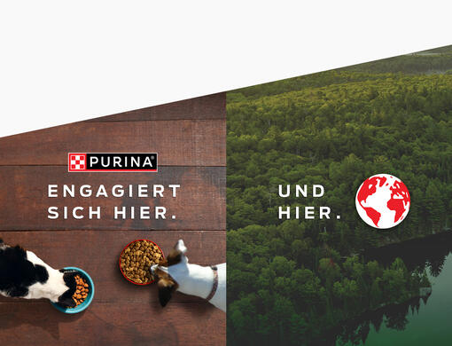 PURINA engagiert sich hier. Und hier.