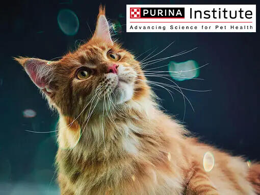 PURINA Wissenschaft