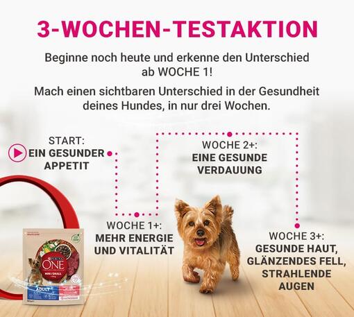 PURINA ONE Dog