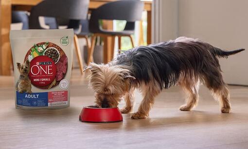 PURINA ONE MINI/SMALL