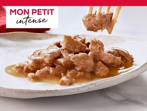 GOURMET MON PETIT INTENSE