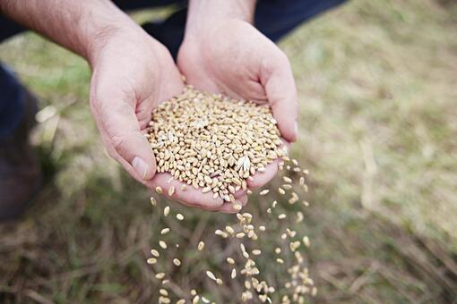 Regenerative Landwirtschaft”