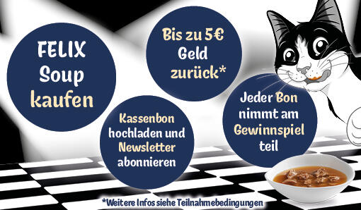 Jetzt FELIX® Soup probieren