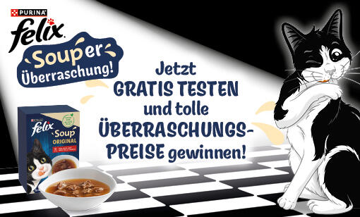 Wie SOUPer ist das denn?