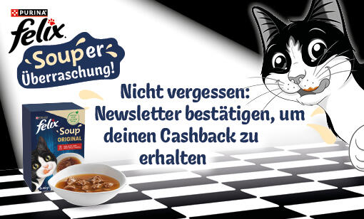 Vielen Dank für deine Teilnahme an unserer Cashback-Aktion!