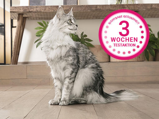 Entdecke in nur 3 Wochen den Unterschied